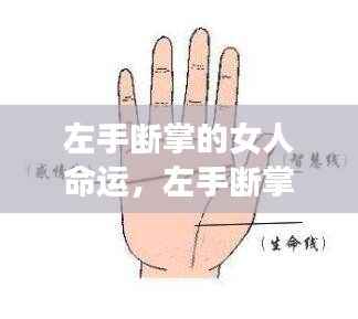 左手断掌女性的命运解读,手相与星象的交织分析