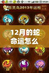 12月蛇年出生者的命运与运势解析,命运之轮如何转动?