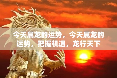 发硎新试 第4页