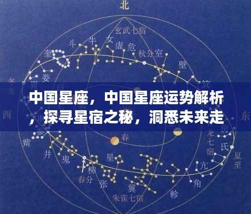 中国星座运势解析,探寻星宿奥秘,洞悉未来走向