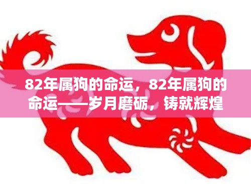 岁月磨砺下的辉煌,82年属狗的命运展望