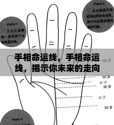 寒蝉僵鸟 第3页