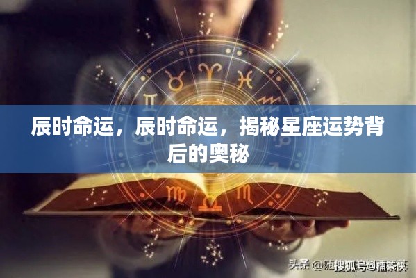 普度众生 第3页