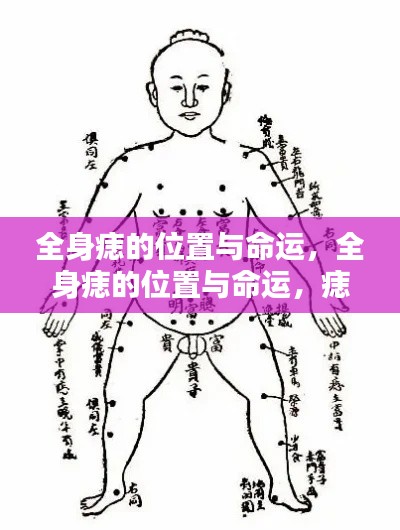 痣相揭秘,全身痣的位置与命运,洞悉人生运势走向