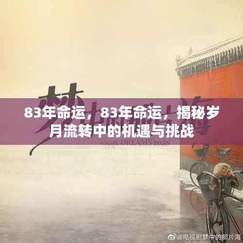 揭秘岁月流转中的机遇与挑战,解读命运之轮下的83年人生轨迹