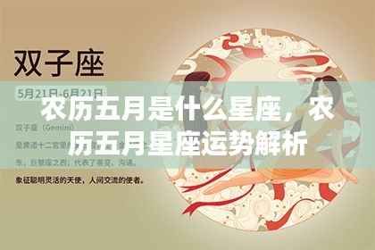 农历五月星座解析与运势展望