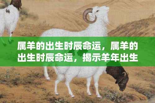 羊年出生时辰与命运,揭示属羊人的神秘命运之旅