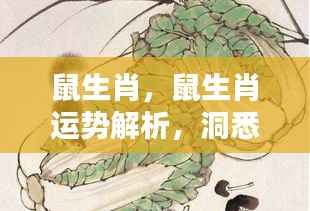 鼠生肖运势解析,洞悉未来,把握人生机遇之道