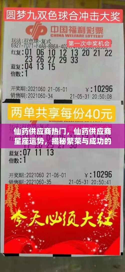 揭秘星座运势背后的神秘力量,仙药供应商繁荣与成功的奥秘探索