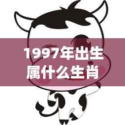 揭秘1997年属牛人的星座运势,如何把握星象助力人生辉煌?