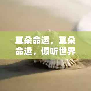 耳朵命运,倾听世界,命运随之改变