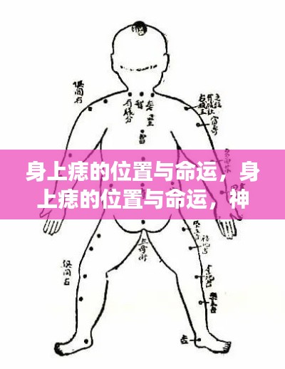 身上痣的位置与命运,神秘连结的解读与命运解读之道