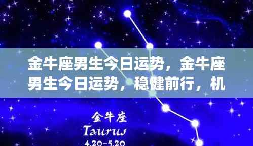 金牛座男生今日运势,稳健前行,机遇挑战并存
