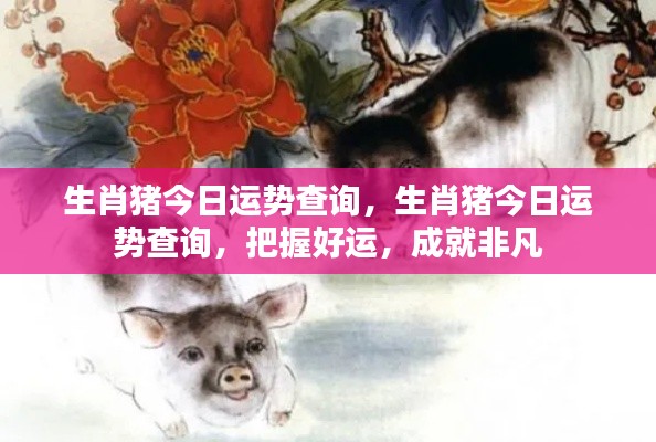 生肖猪今日运势详解,把握好运,迎接非凡成就