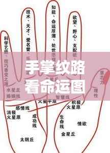 仪态万方 第3页