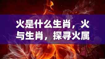 火属性生肖的独特魅力探寻,火与生肖的关联及解析