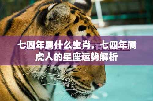 七四年属虎人的星座运势深度解析与生肖特点揭秘