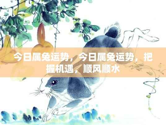 今日属兔运势详解,把握机遇,顺风顺水前行