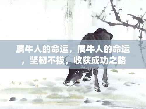 属牛人的命运轨迹,坚韧铸就成功之路