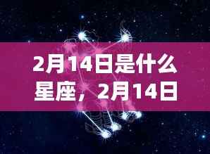 2月14日星座运势揭秘,探寻属于你的星座奥秘