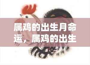 岁月星辰下的命运轨迹,属鸡人的出生月命运解析