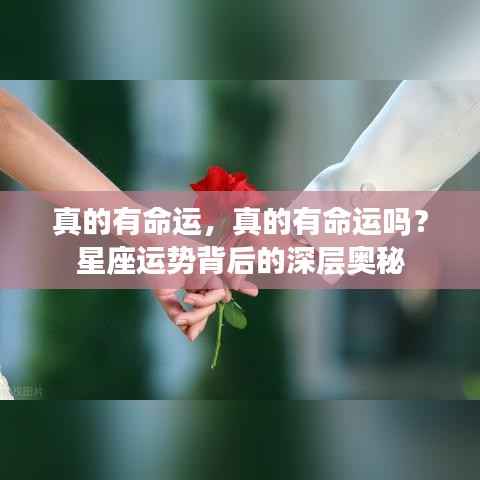 星座运势背后的深层奥秘,命运的真实存在探讨