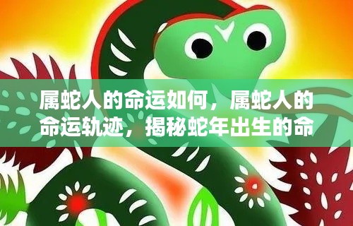 揭秘属蛇人的命运轨迹与运势走向
