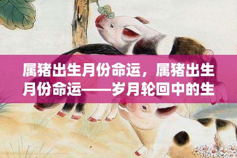 岁月轮回下的生肖猪,出生月份与命运交织的奥秘