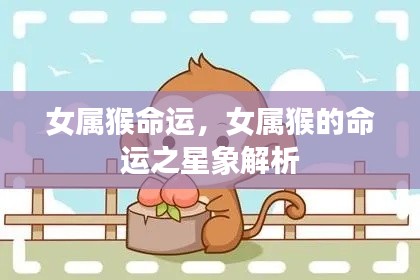 女属猴命运解析,星象下的命运轨迹