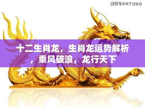 生肖龙运势解析,乘风破浪,龙行天下运势展望