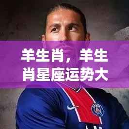 草间求活 第3页