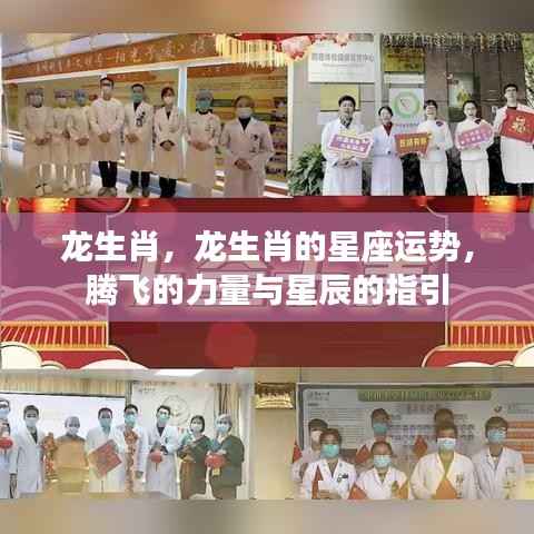 龙生肖运势揭秘,腾飞之力与星辰指引的双重影响
