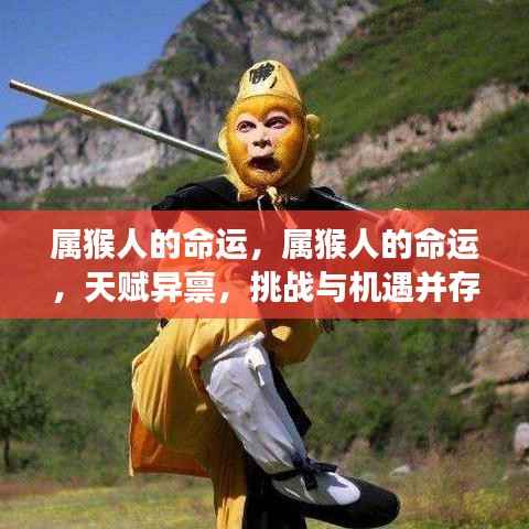 属猴人的命运,天赋与挑战并存,机遇与考验同在的人生旅程