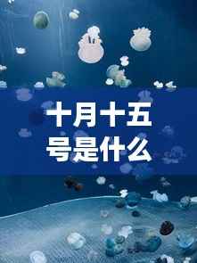 十月十五日星座运势揭秘,探寻属于你的星辰轨迹,掌握星座运势走向