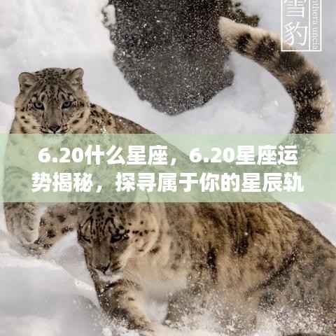 20星座运势揭秘,探寻属于你的星辰轨迹,掌握未来运势走向