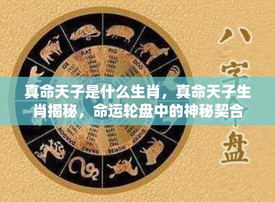 韦编三绝 第3页