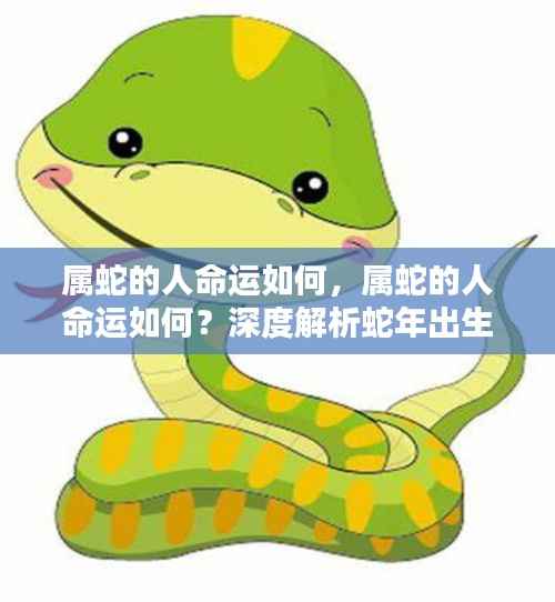 属蛇人的命运深度解析,性格与运势走向探讨