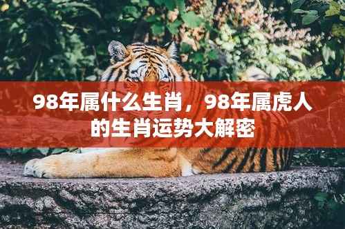 揭秘,1998年属虎人的生肖运势及性格特征解析
