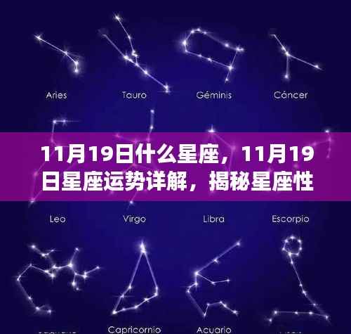 揭秘11月19日星座运势与性格魅力,星座走向大解析