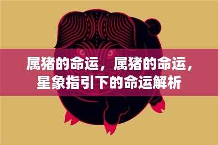 属猪人的命运解析与星象指引