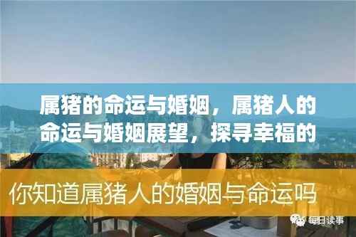 属猪人的命运与婚姻展望,探寻幸福轨迹