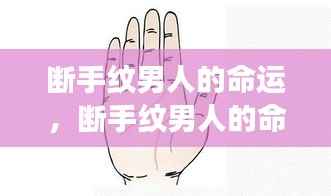 断手纹男人命运与星座运势的独特印记探索