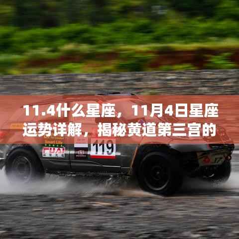 揭秘黄道第三宫魅力,11月4日星座运势详解及星座特点探索