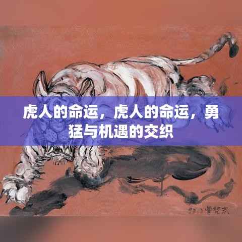 虎人命运,勇猛与机遇的碰撞