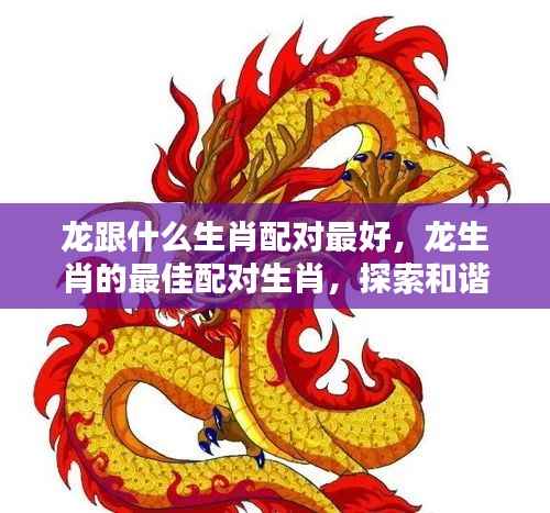龙生肖的最佳配对生肖,探索和谐共生的奥秘