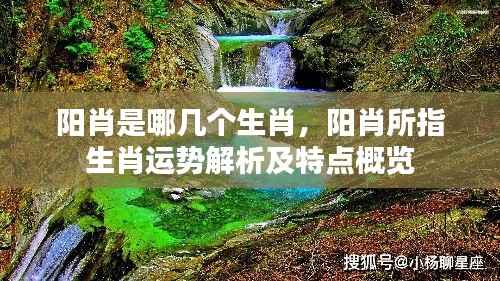 阳肖运势概览与特点解析,揭秘生肖奥秘