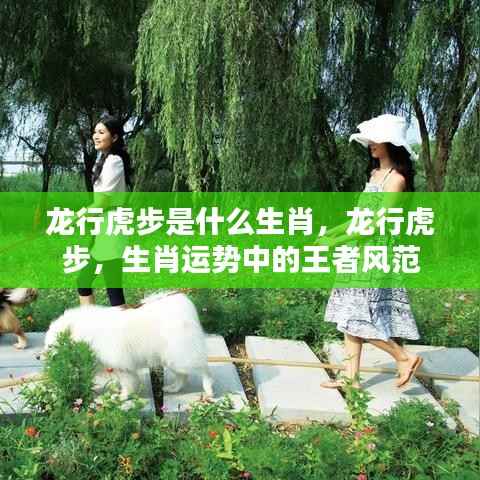 龙行虎步,揭秘生肖王者风范的秘密