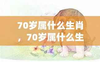 揭秘生肖运势,探寻70岁属相生肖与人生轨迹的奥秘