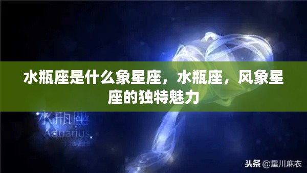 仪表堂堂 第3页