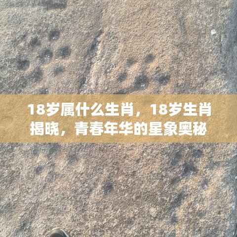 青春年华的生肖奥秘,揭秘18岁属相与星象之谜